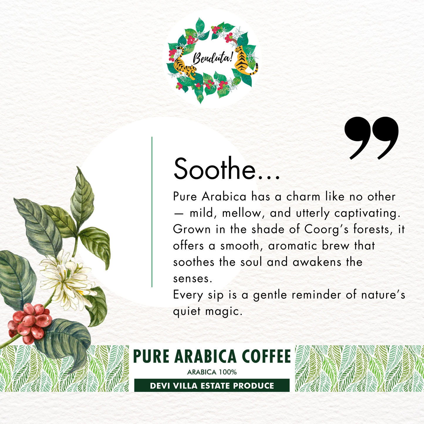 Pure Arabica Coffee